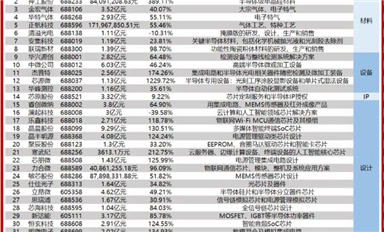 半導體企業(yè)Q1大考！誰是科創(chuàng)板領頭羊？