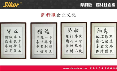 薩科微的部門分級？