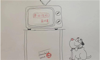 2.854億部！2024年Q2全球智能手機出貨量同比增長6.5%（薩科微7月18日芯聞）