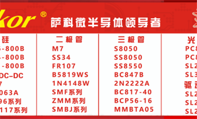 薩科微多個關(guān)鍵詞在谷歌排名首頁，“slkor”品牌海外知名度爆增！