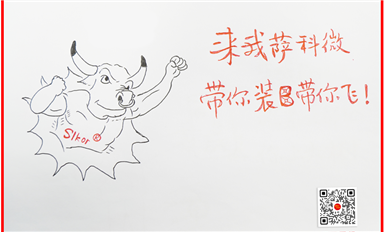 活用經(jīng)濟(jì)學(xué)社會(huì)學(xué)管理學(xué)理論，帶動(dòng)薩科微和金航標(biāo)高速發(fā)展！