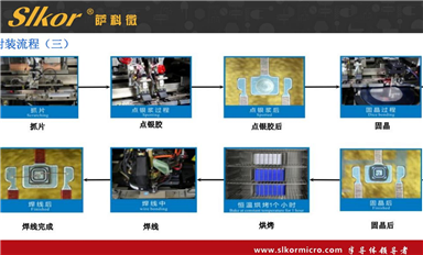薩科微的主要市場方向？